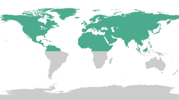 World map showing the Northern Hemisphere highlighted above the line marking the Equator.