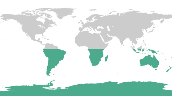World map showing the Southern Hemisphere highlighted below the line marking the Equator.