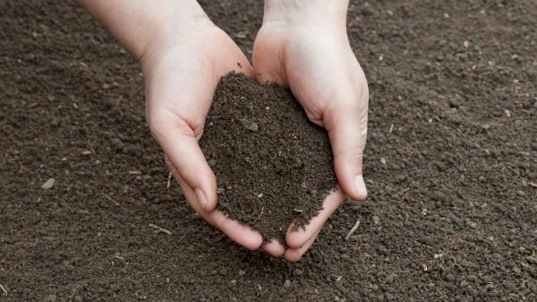 2015 was declared as the UN International Year of Soils.