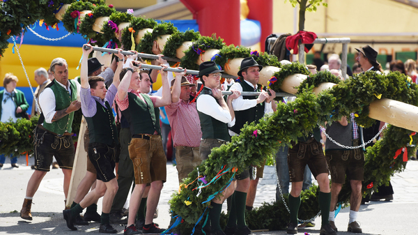 Un grupo de hombres austriacos en pantalones de cuero tradicionales llevan un árbol de Mayo