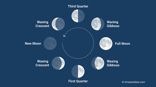 Phases of the Moon