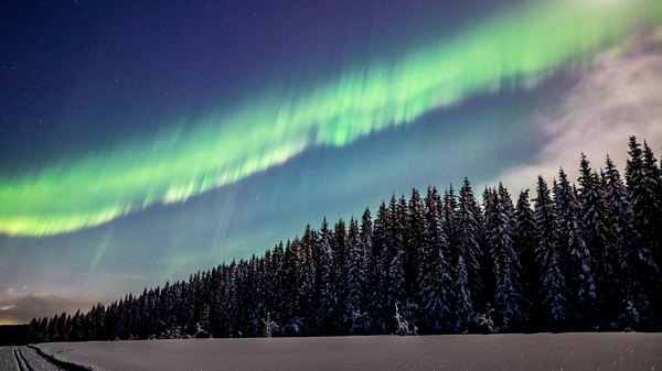 Northern lights over a moonlit, winter landscape.