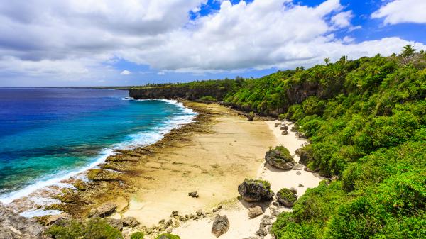 Beach and mangroves on Nukualo, Tonga.