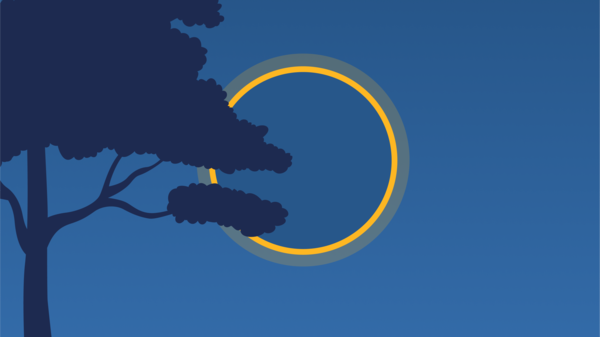 Vector illustration of annular solar eclipse and dark sky with birds flying around.