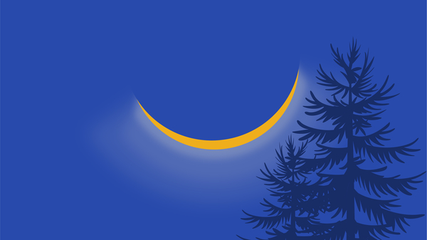 Partial solar eclipse on the blue sky. Trees in the foreground.