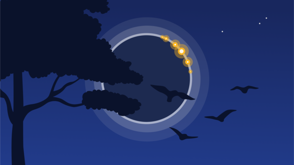 Vector illustration of total solar eclipse, dark sky and birds.