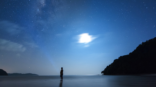 Man on a beach at night gazing up at the stars