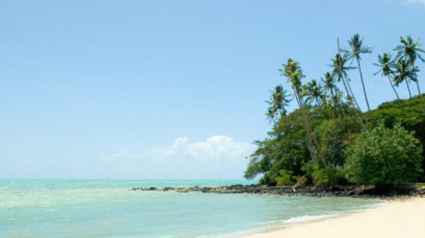 Sunny beach with palm trees in Samoa.