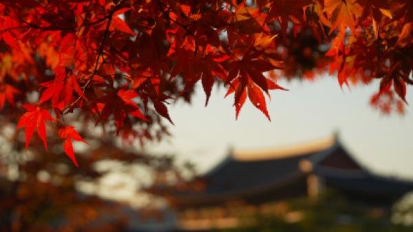 Kyeongbok Palace,Seoul,Korea