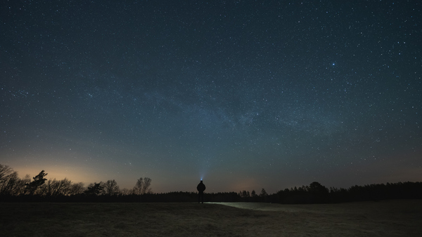 Silhouette of a person stargazing under a clear night sky filled with stars, with faint light pollution on the horizon and trees in view.