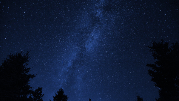Picture of night sky with the milky way in focus and trees at the bottom of the image.