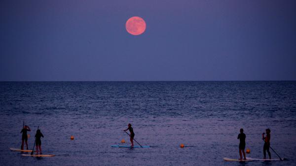 Paddleboarders below the strawberry moon at Barceloneta beach, Barcelona, Spain.