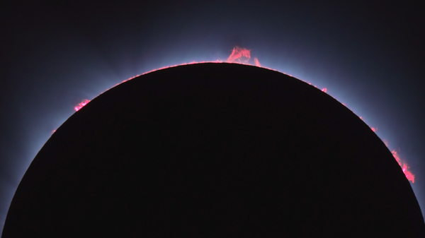 Sun chromosphere with prominences