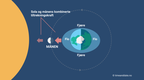 Grafisk fremstilling av månen sola og jorda under springflo- og fjære. Solas og månens tiltrekningskraft kombineres.