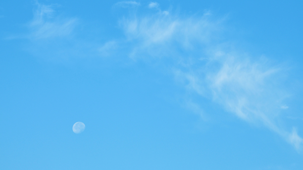 The Waning Gibbous Moon in the daytime blue sky.