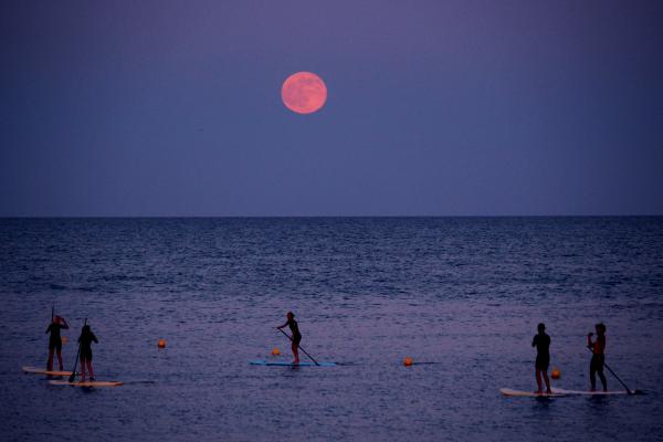 Paddleboarders below the strawberry moon at Barceloneta beach, Barcelona, Spain.
