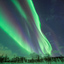 The aurora borealis lights up the sky of Harstad, northern Norway. Green and purple bands appear over a snowy landscape. 