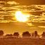 Picture with fields in the foreground and a crescent shaped Sun with Moon in front of it. Cloudy skies in the background.