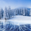 Winter: Frozen lake and snowy forest