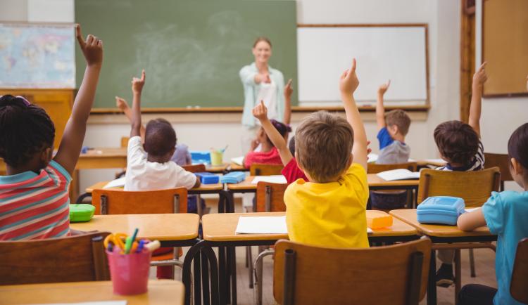 Students raising hands in a classroom.