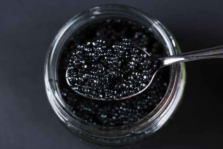 Caviar Day – Fun Holiday