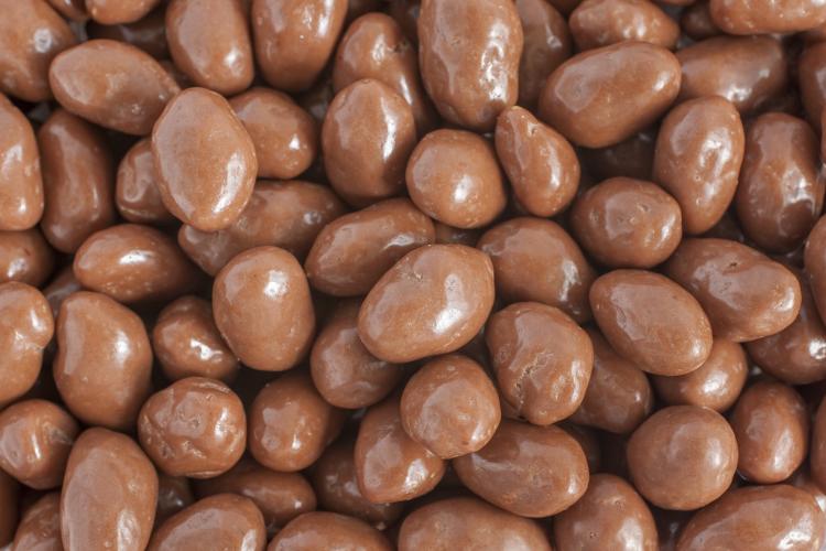 chocolate covered raisins