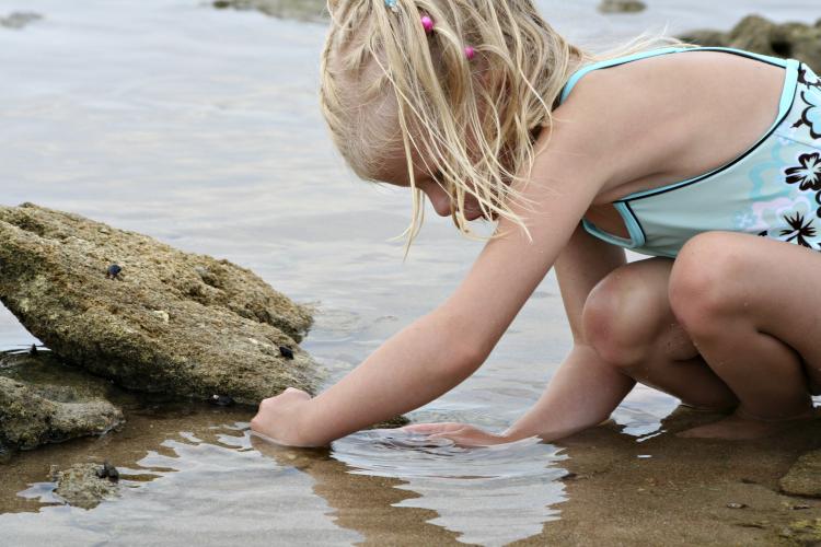 Girl in tide pool collecting rocks.