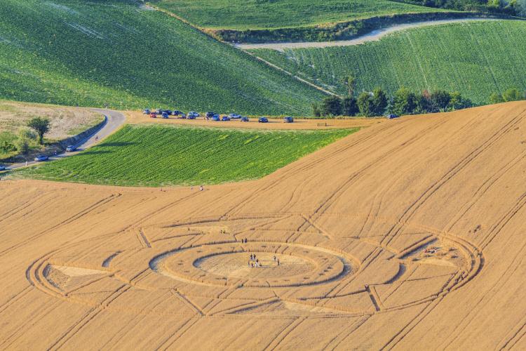 Crop circles in Italy.