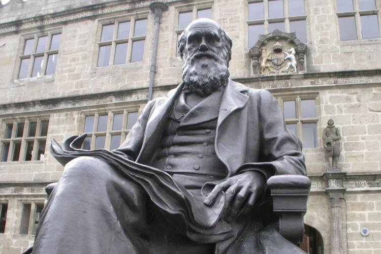 Statue of Charles Darwin.