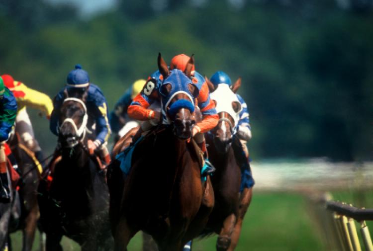 Melbourne Cup Day 2024 in Australia