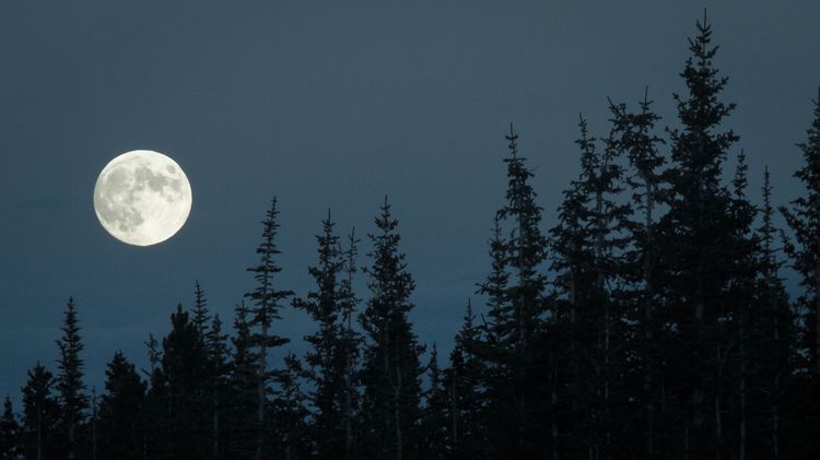 January Full Moon Kicks Off Longest Moon Phase of 2024