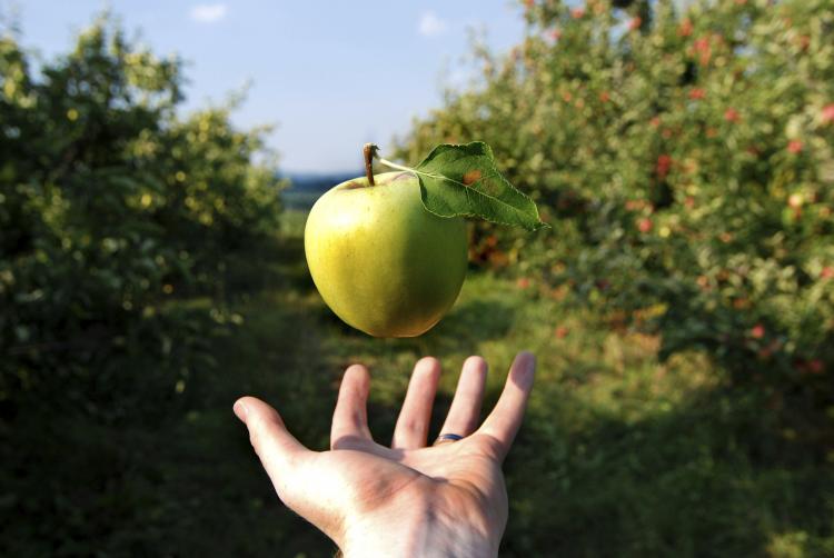 Apple floats with no gravity over a hand.