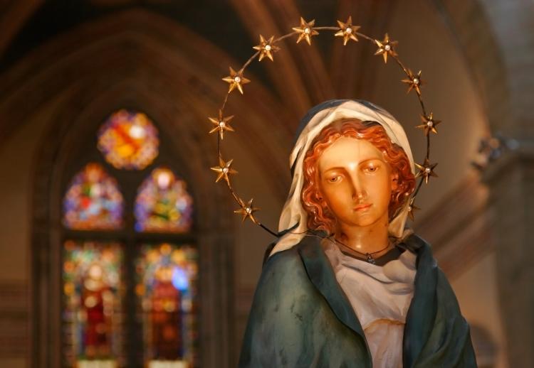 Immaculate Conception Holy Day 2025 Rosy