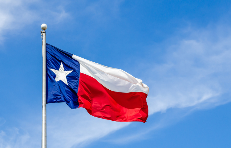 Texas' flag, also known as the Lone Star flag, became the state's official flag in 1839.