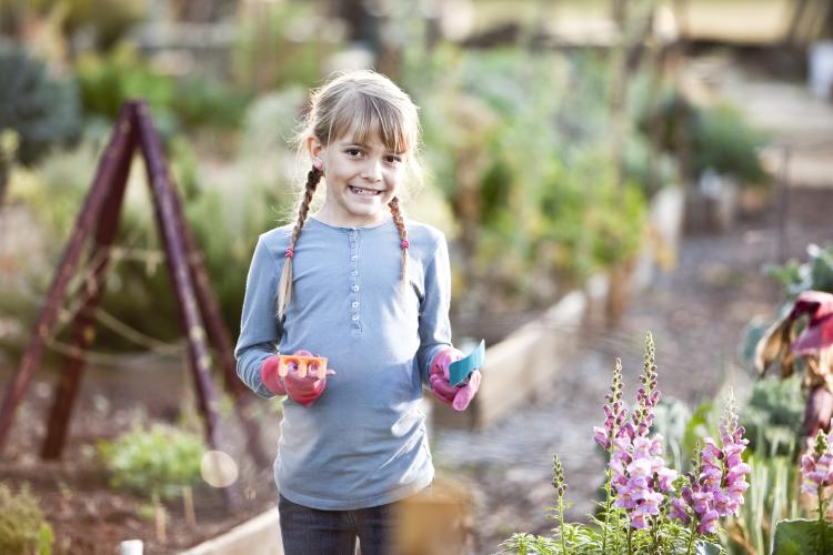 Petite fille aidant à travailler sur un jardin communautaire.