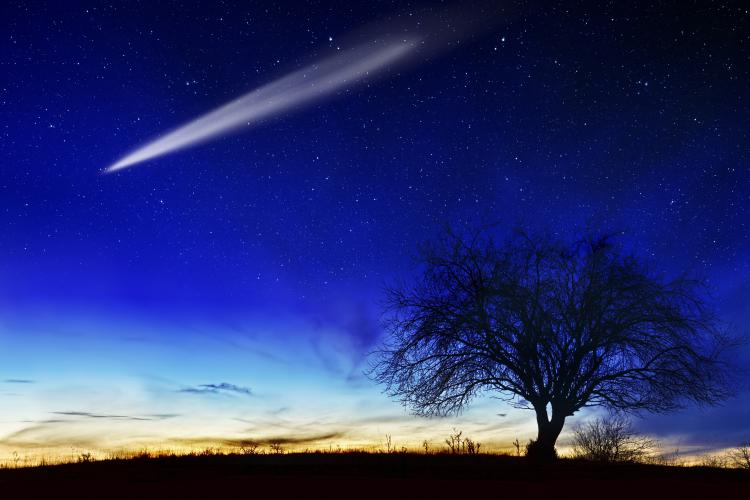 A shooting star goes across a cobalt blue star filled winter night with an apple tree silhouetted in the foreground.