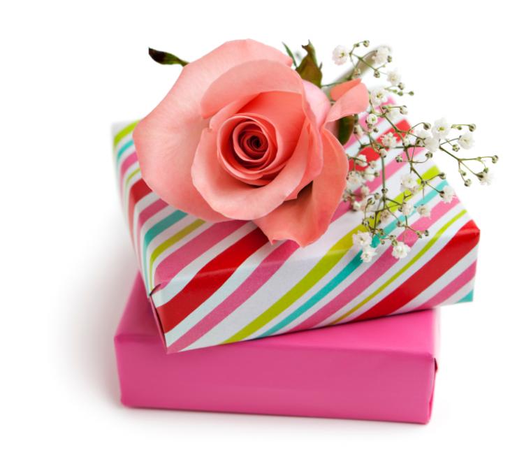 Gift boxes and pink rose.