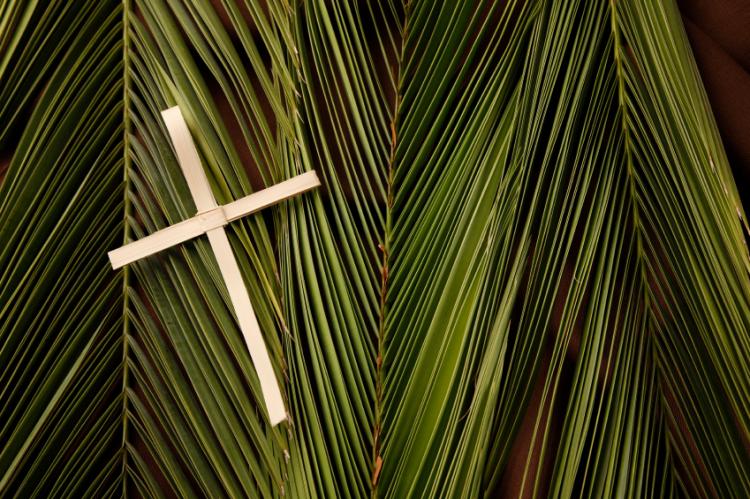 Palm Sunday In Mexico