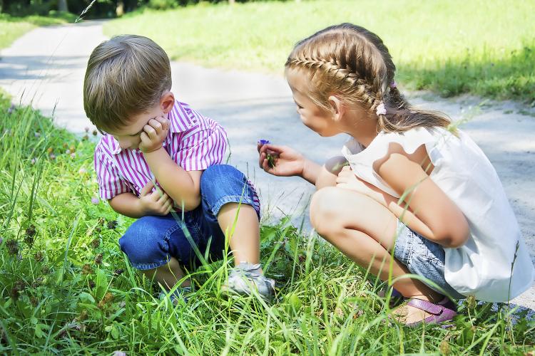 Little girl apologizes to boy