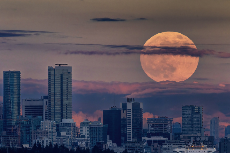 A really big yellow Supermoon rises over the high rise and skyscraper buildings in Vancouver British Columbia, Canada.