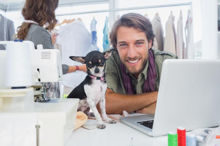 should you bring your dog to work