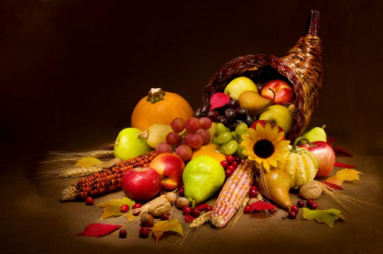 Image result for thanksgiving pics