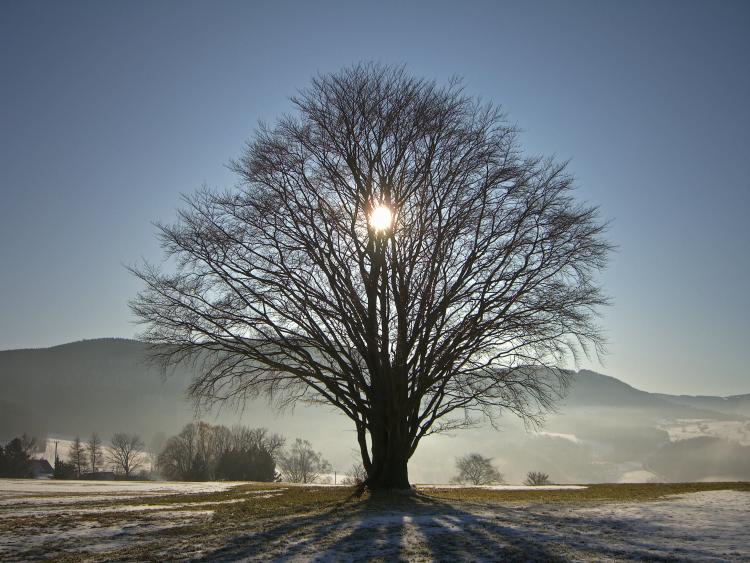 What and When is Winter Solstice?