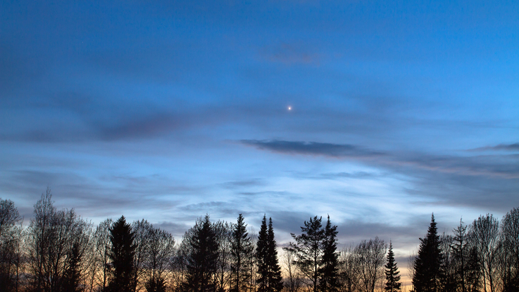 Venus shines as a bright dot in a twilit sky above a line of trees.
