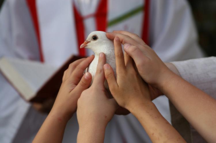 The Holy Spirit is often symbolized by a white dove.
