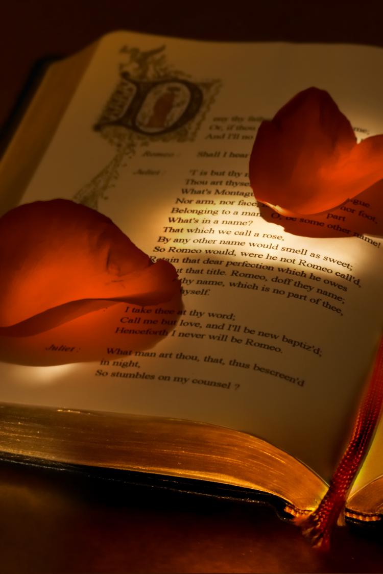 Poetry book with Petals