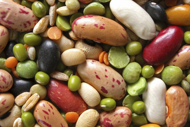 Close-up of colorful beans.