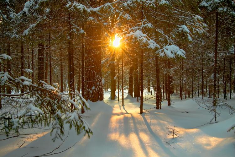 10 Things About the December Solstice