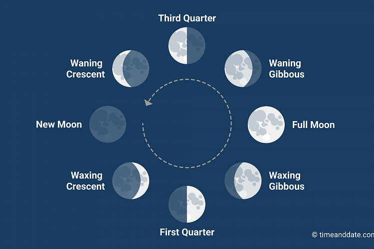 Image result for moon phases images