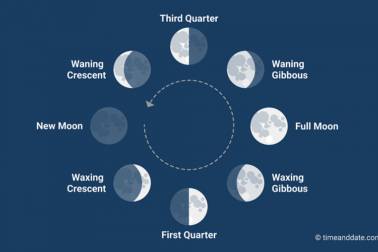 moon-phases-explained.png